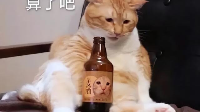 毕业的留言