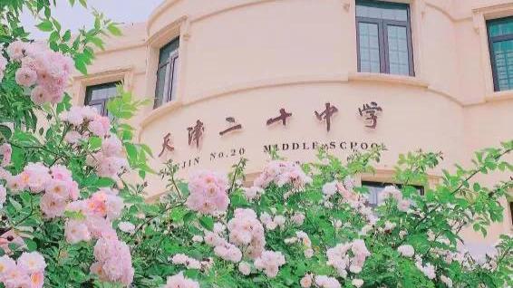 学生五育并举提案心得体会精选
