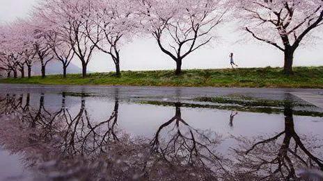 描写雨大的句子烘托氛围