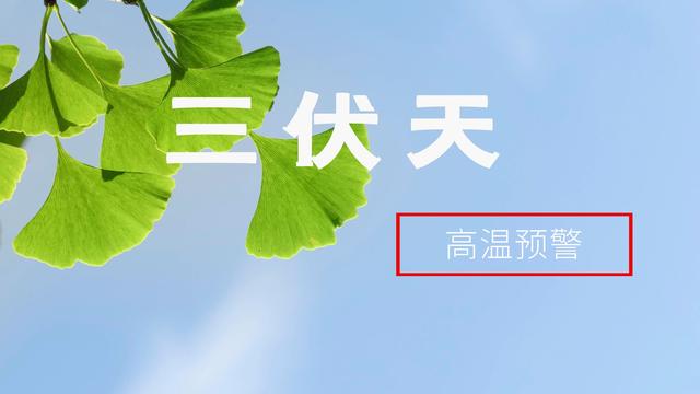 三伏天这些禁忌不能犯