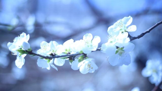 现代伤感的诗词