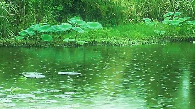 雨的伤感散文诗