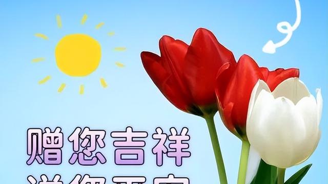 夏季清晨唯美句子简短精选