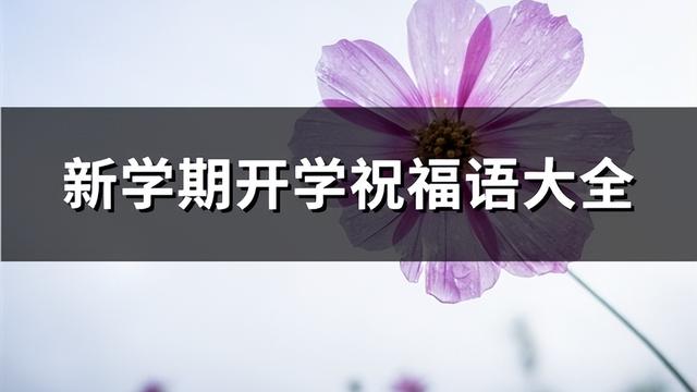 开学迎新文案