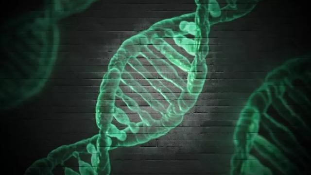 生物化学教学10篇