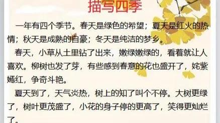 小草有关作文字