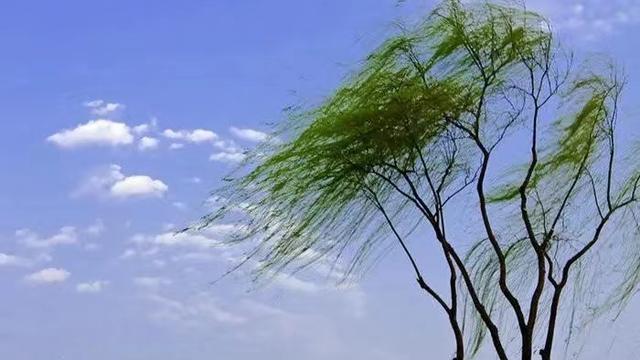 春风记叙文