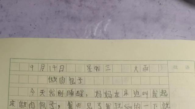 做包子作文（精选）
