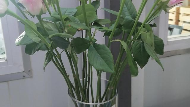 描写母亲的优美句子字左右