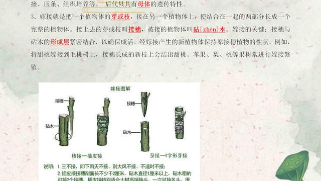 生物总结大全