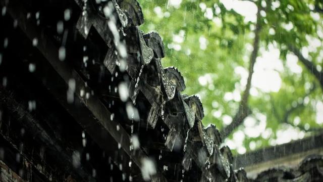 雨的诗歌10篇