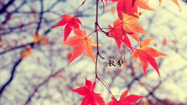 经典的秋分祝福寄语