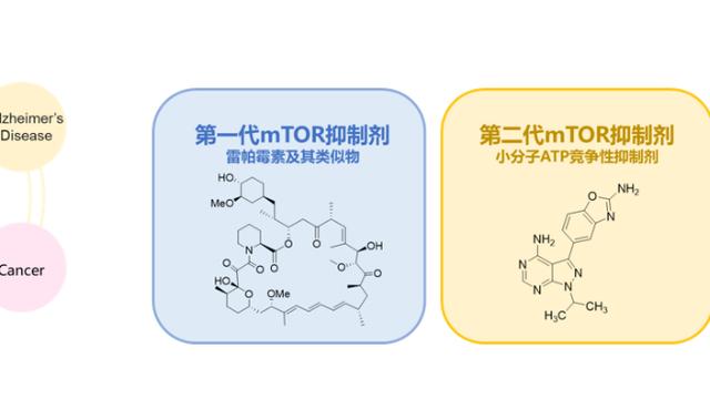 一种新型小分子化合物增强PC3细胞的辐射敏