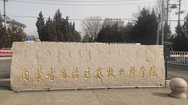 国家智慧平台培训心得（精选）