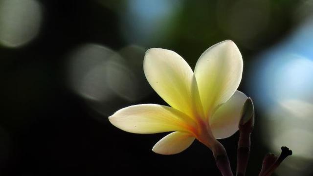 兄弟离别伤感句子说说心情