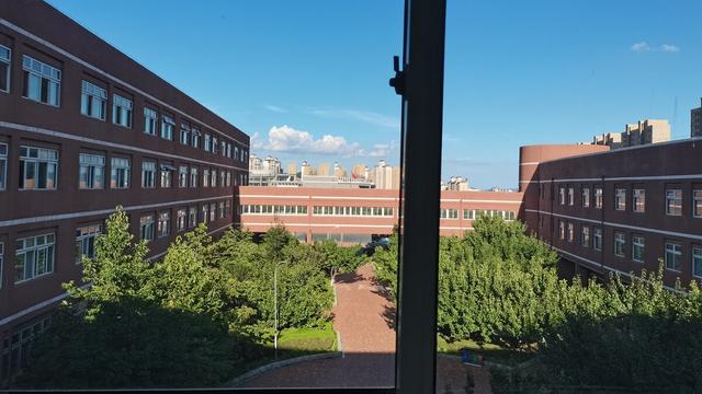 【热】学习委员工作总结