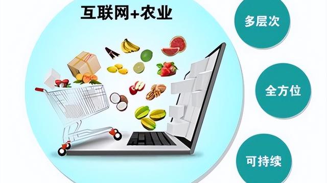 农业信息化技术在农产品的应用