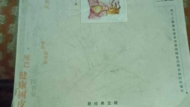 《窗边的小豆豆》的读书笔记