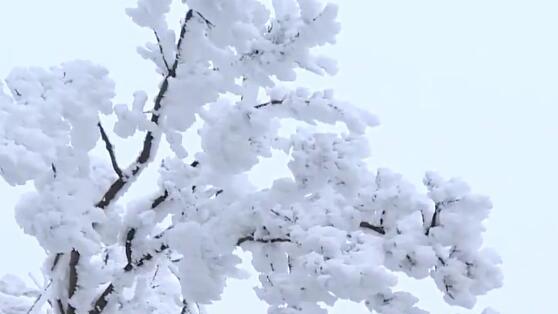 说雪的经典句子