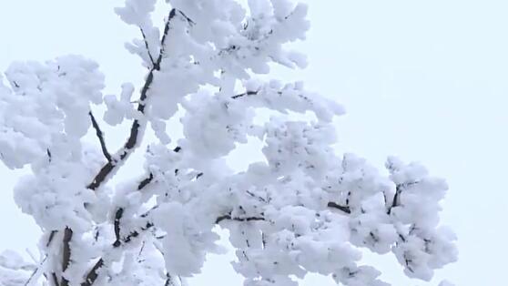 小孩下雪天发朋友圈的句子