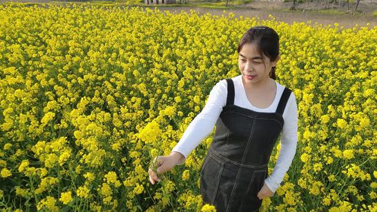 关于燕子的好句子