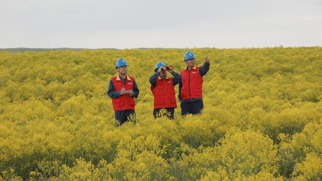 读山花怒放有感