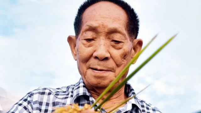 怀孕梦见花圈是什么预兆