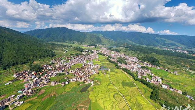 夏天田野的景色