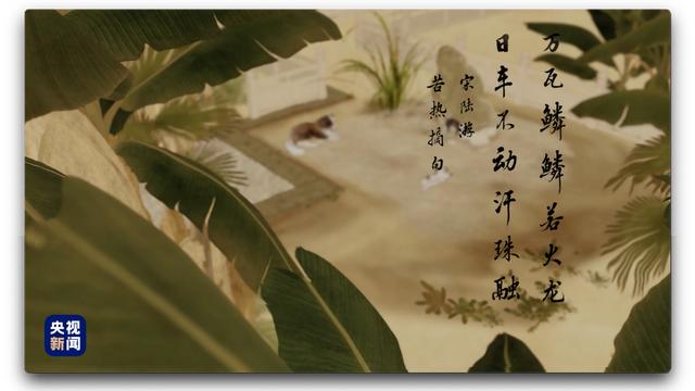 关于大暑的诗句作文