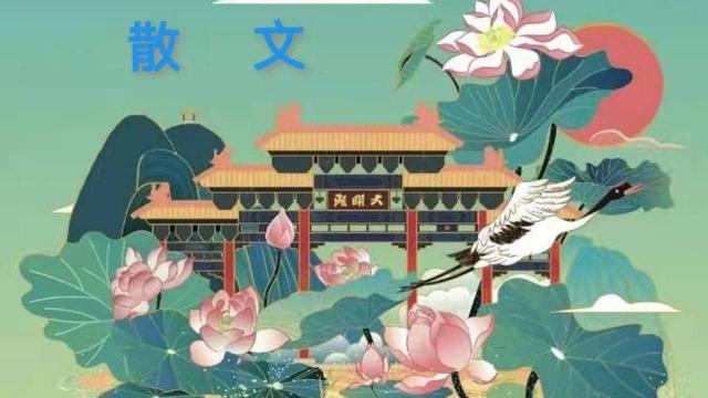 爱情的散文优美句子