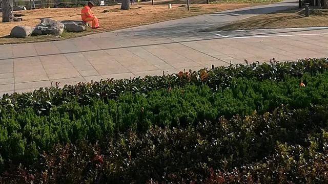 我的家乡泰安作文（通用）