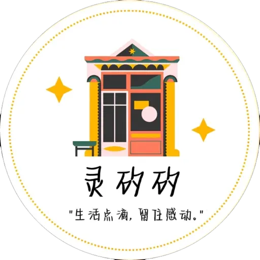 灵矽矽