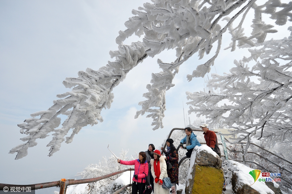 南京紫金山现雾凇美景 童话般冰凌世界吸引游客