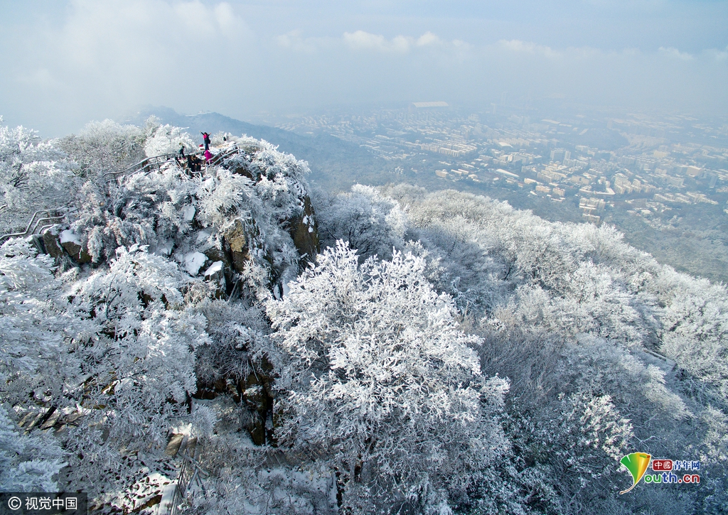南京紫金山现雾凇美景 童话般冰凌世界吸引游客
