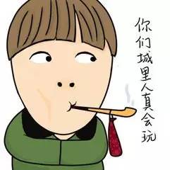 信不信由你｜美国“大黄蜂”战斗机损坏，竟去博物馆拆卸零件