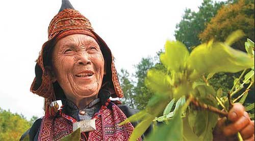 瑶族女子常年药浴，称为最“干净”的女子