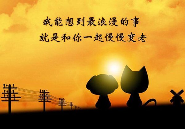 十句爱情语录：一个人愿意奋不顾身 另一个人才愿意托付终身图片