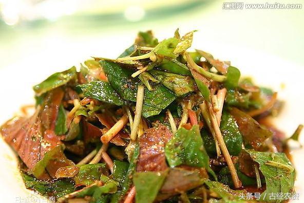 感觉体内有湿热，吃点鱼腥草就可以帮助祛除炎症
