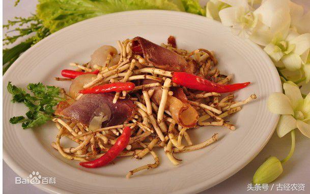 感觉体内有湿热，吃点鱼腥草就可以帮助祛除炎症