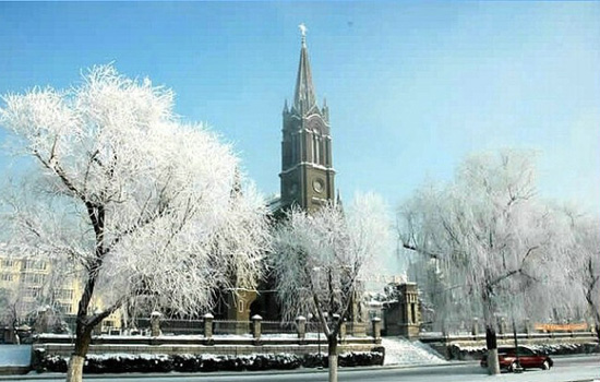 快让我在雪地上撒点野！——贝动教育圣诞往事之：家在东北