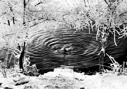 快让我在雪地上撒点野！——贝动教育圣诞往事之：家在东北