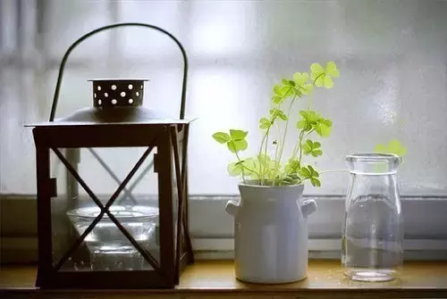 朋友圈，一些让人心静的语句