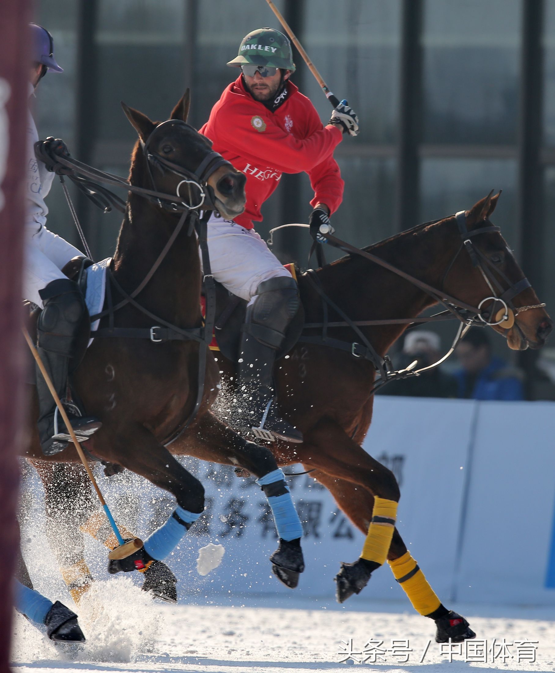 第六届天津富国高银雪地马球世界杯赛在津落幕