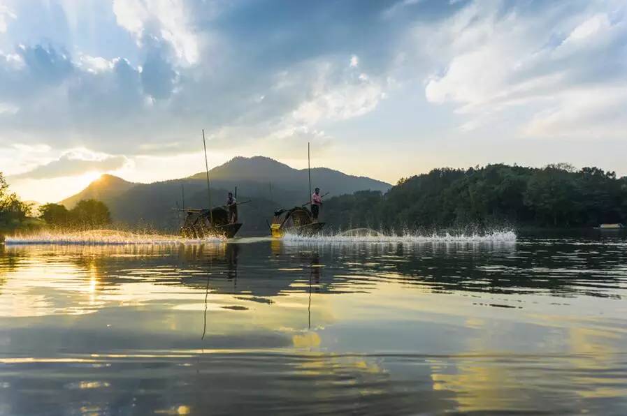 「要闻」‖丽水有“鸡”惠，这个春节，带着爸妈一起出发吧！