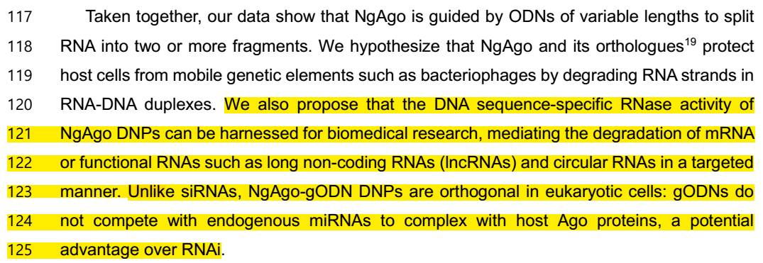 NgAgo或只能切割RNA，韩春雨论文不可重复性原因渐出水面