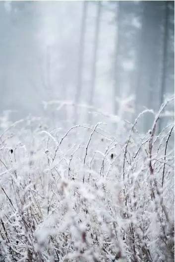 唐诗宋词里的冬天-第9张图片-诗句网