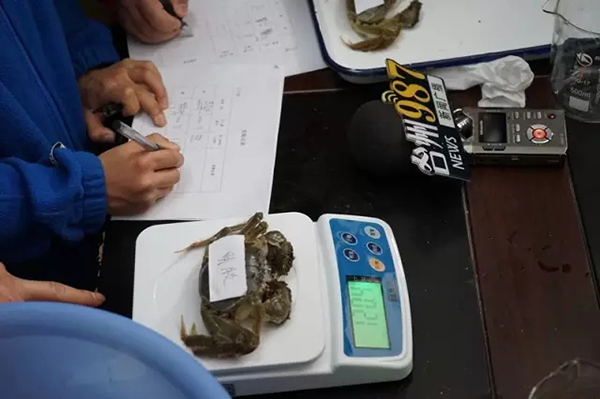 网传“河蟹注胶水”，浙江台州官方在菜场做对比实验直播辟谣