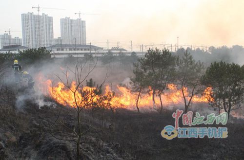 鹰潭北站附近荒草起火危及电缆 消防人员及时扑救