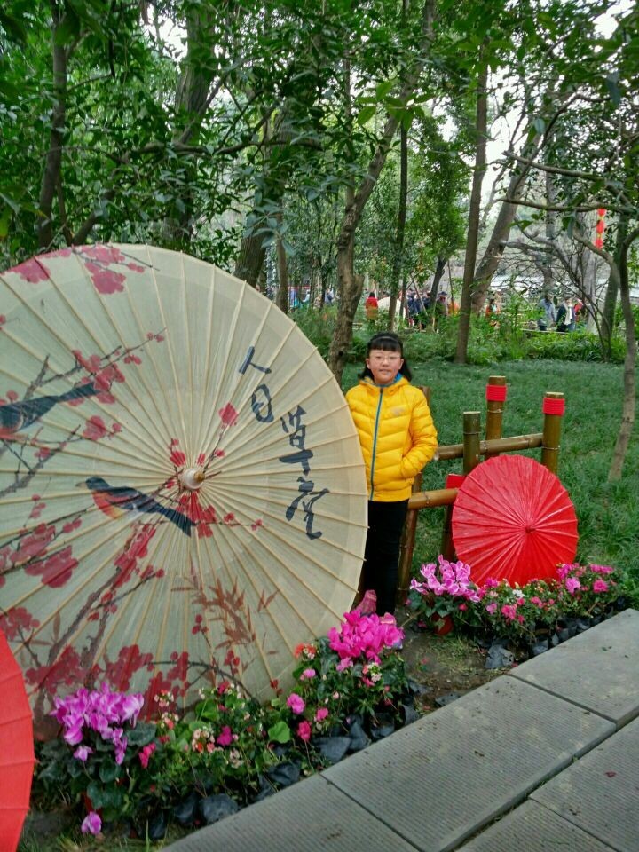 春节，传统与现代，自然与繁荣，我们都感受到了