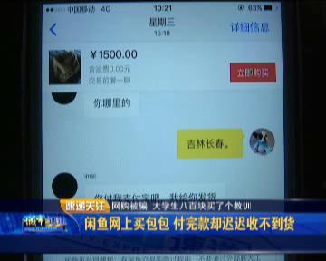 闲鱼交易成功却没到账如何，闲鱼交易成功却没到账好不好